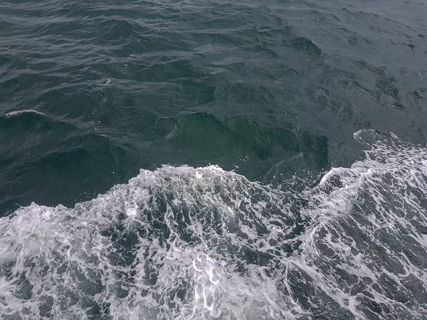 Surface of blue water Sea wave Colored background