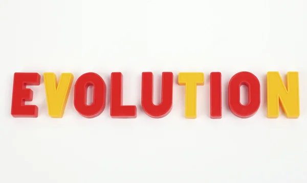 Evolution — Stock Photo, Image