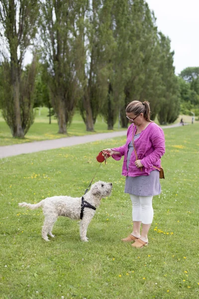 Training the Dog — Stock Photo, Image