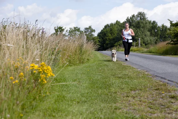 Jogging z psem — Zdjęcie stockowe