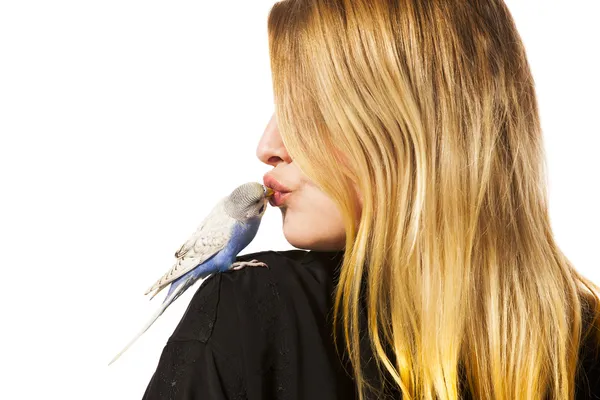 Friendly Parakeet — Stock Photo, Image