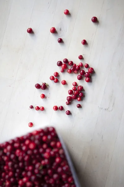 Frische Preiselbeeren — Stockfoto