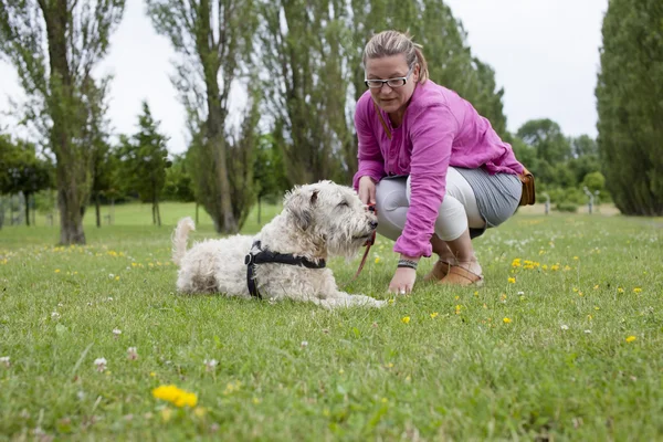 Training the Dog — Stock Photo, Image