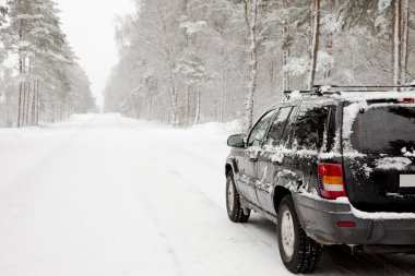 snowy orman yolda araba