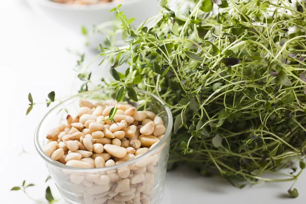 Pine Nuts and Plant of Thyme — Stock Photo, Image