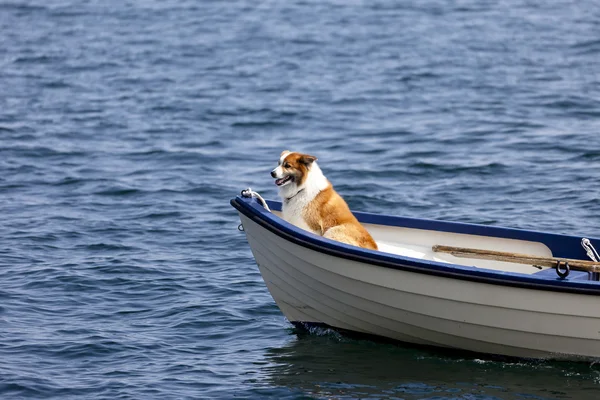 Riding a Boat — Stock Photo, Image
