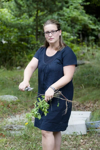 Werken in de tuin — Stockfoto