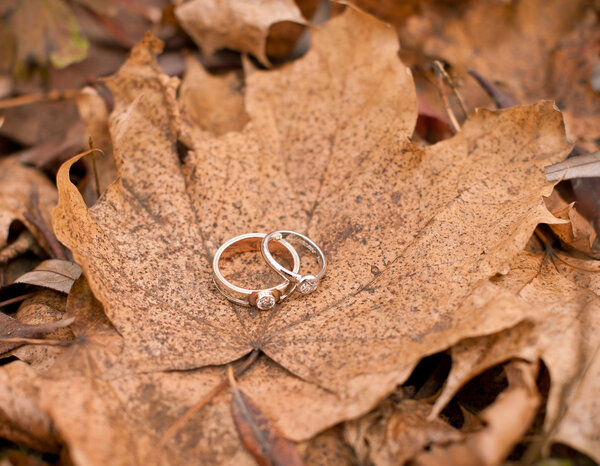 wedding rings on the autumn leaves