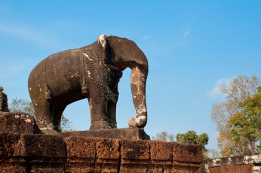 angkor tapınakta bir fil