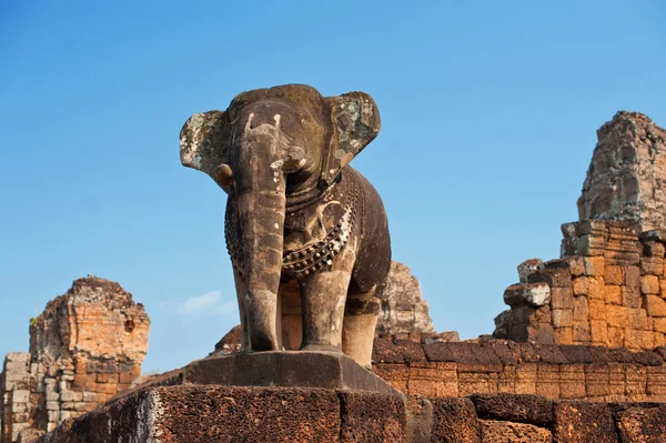 Elefant i en av templet i angkor — Stockfoto