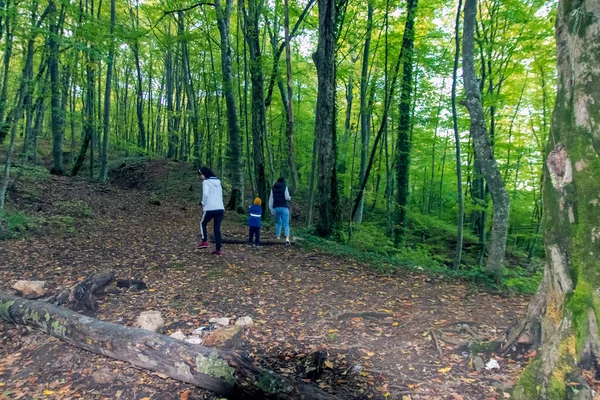 Rodzinna Wędrówka Pięknym Górskim Lesie Widok Tyłu — Zdjęcie stockowe