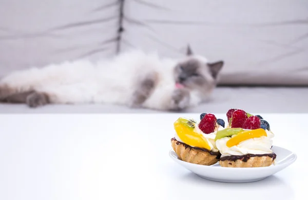 Fruit cake on the table. Cat licking paws on the couch. — Stock Photo, Image