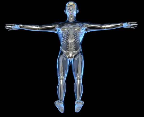 Röntgenfoto van een menselijk lichaam — Stockfoto
