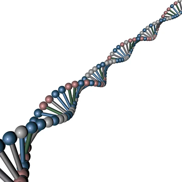 DNA eliche cellule struttura — Stok fotoğraf