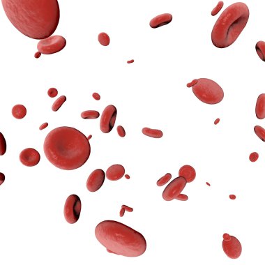 Blood cells on white background clipart