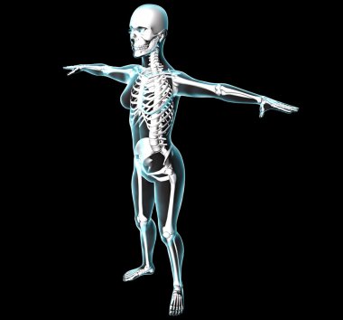 Woman body and skeleton on x-rays clipart