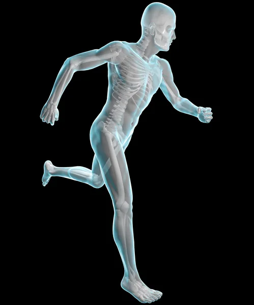 人的身体和骨架的 x 射线 — 图库照片