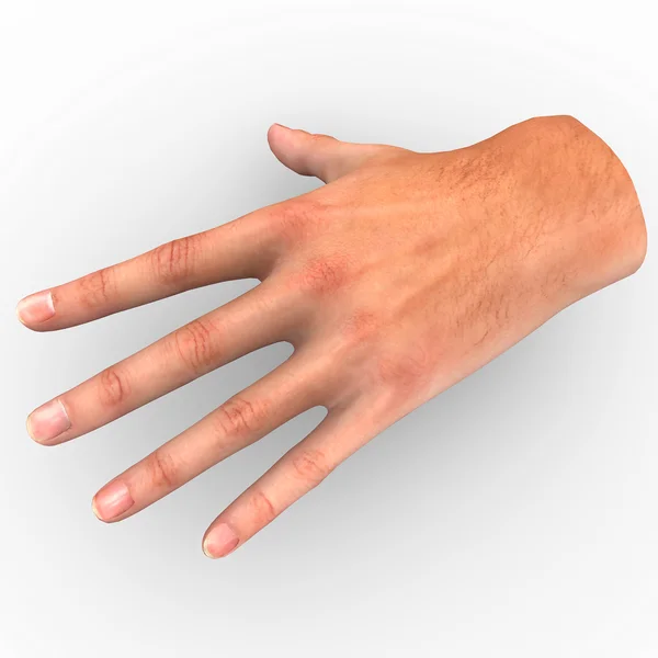 Hand and fingers — Stock Photo, Image