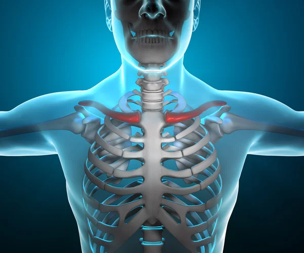 X ray of human body and skeleton — Stock Photo, Image