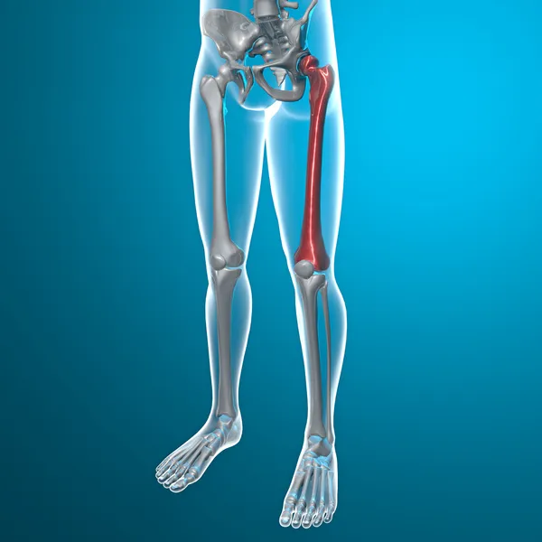 Röntgenbild av mänskliga ben — Stockfoto