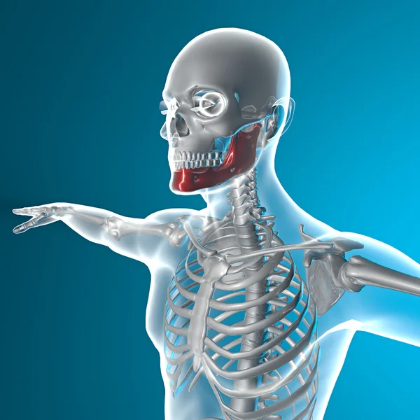 Рентгенівська щелепну кістку — стокове фото