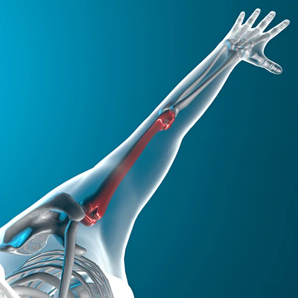 Raio-X do osso do braço corpo humano — Fotografia de Stock