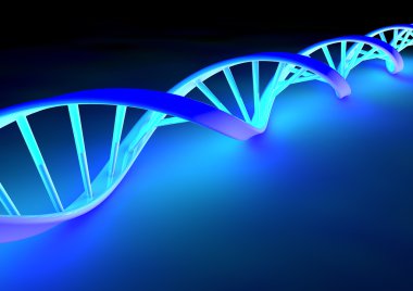 DNA sarmal hücre yapısı molekül