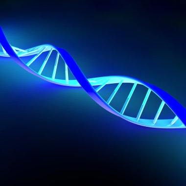 DNA sarmal hücre yapısı molekül