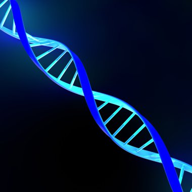 DNA sarmal hücre yapısı molekül