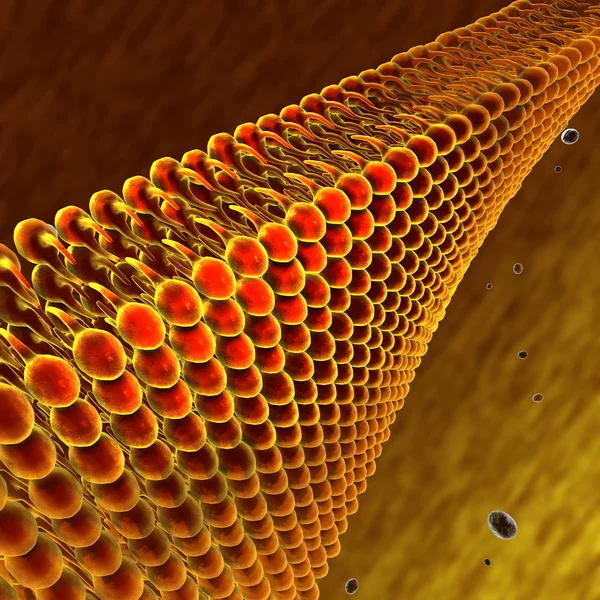 Lípidos y grasas observados al microscopio —  Fotos de Stock