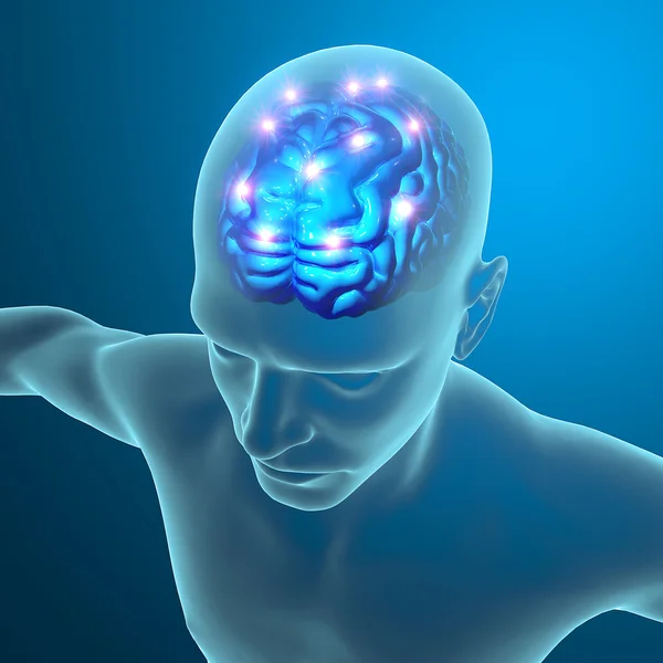 beyin sinir hücreleri sinaps