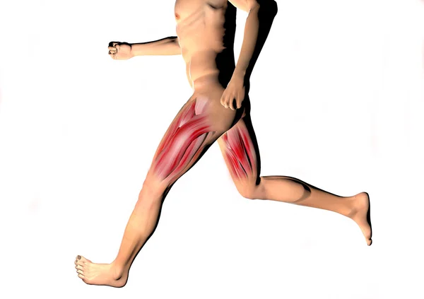 Running man muscles — Stock Photo, Image
