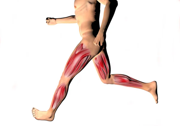 Running man muscles — Stock Photo, Image