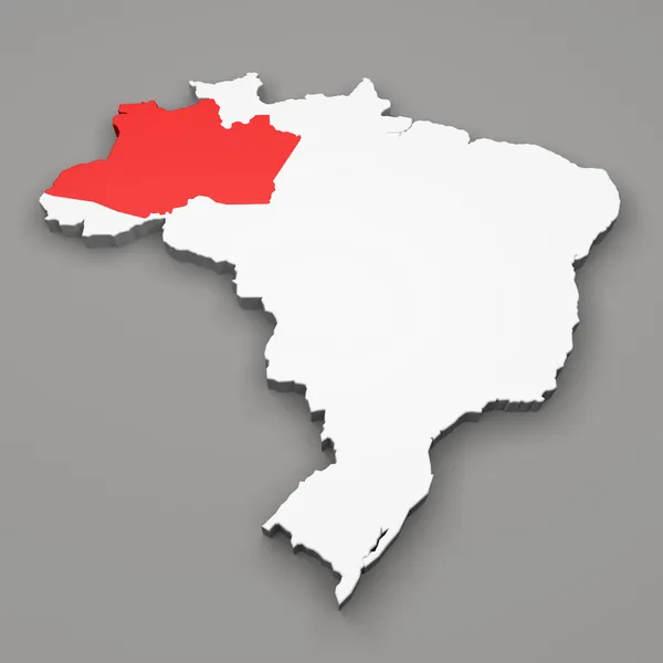 Braziliaanse Amazonas, Brazilië — Stockfoto