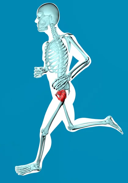 Běh x-ray muž s bolestí v pánvi — Stock fotografie