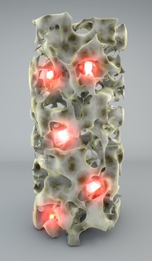 Bölüm ile Osteoporoz kemik