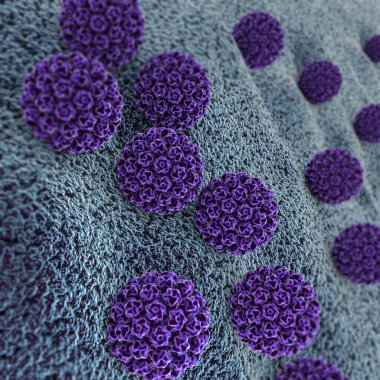 HPV enfeksiyonu. Virüs. HPV en yaygın cinsel enfeksiyon genel olarak bulaşan olduğunu. İnsan papilloma virüsü, papilloma virüsü Aile, 3d render bir Dna virüsü HPV enfeksiyonu neden olur
