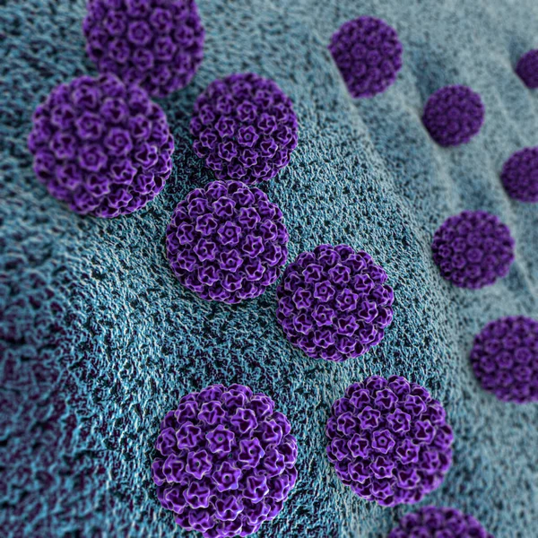 Humane Papillomavirus Infektion Virus Hpv Ist Die Weltweit Häufigste Sexuell — Stockfoto