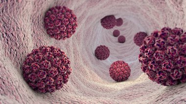 HPV enfeksiyonu. Virüs. HPV en yaygın cinsel enfeksiyon genel olarak bulaşan olduğunu. İnsan papilloma virüsü, papilloma virüsü Aile, 3d render bir Dna virüsü HPV enfeksiyonu neden olur