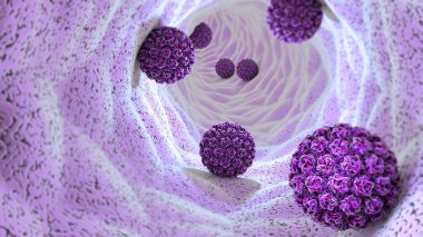 HPV enfeksiyonu. Virüs. HPV en yaygın cinsel enfeksiyon genel olarak bulaşan olduğunu. İnsan papilloma virüsü, papilloma virüsü Aile, 3d render bir Dna virüsü HPV enfeksiyonu neden olur
