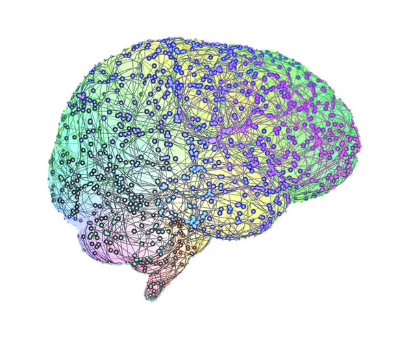 Microscopisch Zicht Neuronen Hersenverbindingen Synapsen Communicatie Hersenstimulus Neurale Netwerk Circuit — Stockfoto