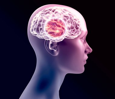Profilde kadın ve insan beyni görünüyor. Röntgenler. Dejeneratif hastalıklar, sinapslar ve nöronlar, beyin fonksiyonları. Felç ve bilişsel sorunlar. Parkinson ve Alzheimer. 3d oluşturma