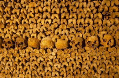 Altı milyondan fazla insanın kalıntılarını barındıran Paris 'in yeraltı mezarları. Kafatası ve kemiklerle ilgili detaylar. Fransa