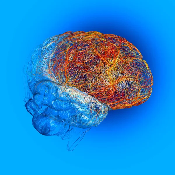 额叶位于每个大脑半球的前部 它包含了大脑皮层中的大部分多巴胺神经元 3D渲染 — 图库照片