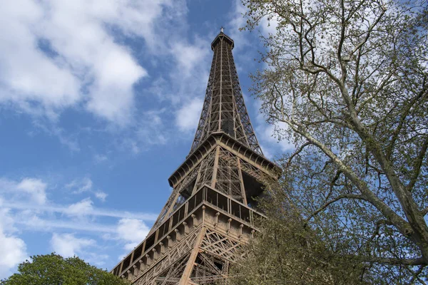 Paris França 2022 Uma Árvore Com Vista Baixo Torre Eiffel — Fotografia de Stock