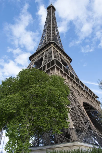 Paris França 2022 Uma Árvore Com Vista Baixo Torre Eiffel — Fotografia de Stock