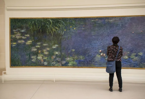 Paris France Europe Visitor Front Nymphas Water Lilies Famous Series — стоковое фото