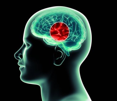 Beynin nasıl çalıştığını. Sinapslar ve nöronlar. Bağlantılar. Beyninle, uyarıcılarınla ve fikirlerinle ilgilen. Dejeneratif hastalıklar, Parkinson ve Alzheimer. 3d oluşturma
