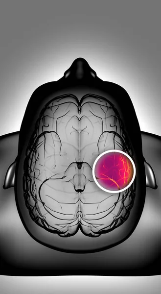 Beynin Nasıl Çalıştığını Sinapslar Nöronlar Bağlantılar Beyninle Uyarıcılarınla Fikirlerinle Ilgilen — Stok fotoğraf
