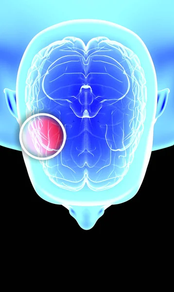 How Brain Works Synapses Neurons Connections Take Care Your Brain — Stock Photo, Image